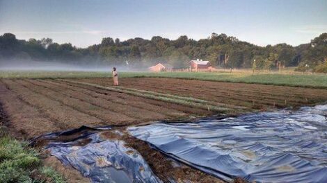 Proposed Rail Line Threatens Old Lyme Farms Image